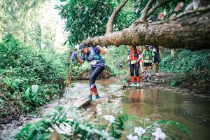 BIB: 
                            <button type="button" onclick="openModal(25517853)" class="btn btn-primary btn-sm float-right btn-popup" data-toggle="modal" data-target=".modal-high-quality">
                        <i class="fas fa-shopping-cart"></i> Add to Cart
                    </button>
                                            <button type="button" onclick="isThisMe(25517853, true)" class="btn btn-success btn-sm float-right btn-popup btn-isme hidden" data-toggle="tooltip" data-placement="bottom" title="นี่คือรูปของคุณใช่ไหม คลิกที่นี่เพื่อเอาเข้าอัลบั้ม">
                        <i class="fas fa-plus"></i> Add to album
                    </button>
                    <button type="button" onclick="isThisMe(25517853, false)" class="btn btn-warning btn-sm float-right btn-popup btn-isnotme hidden">
                        <i class="fas fa-ban"></i> Remove from album
                    </button>